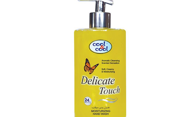 Hand Wash Delicate Touch 500Ml