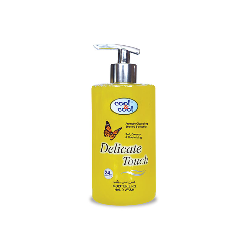 Hand Wash Delicate Touch 500Ml