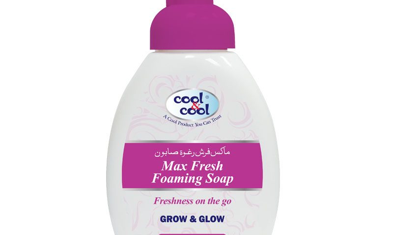 Max Fresh Foaming Soap